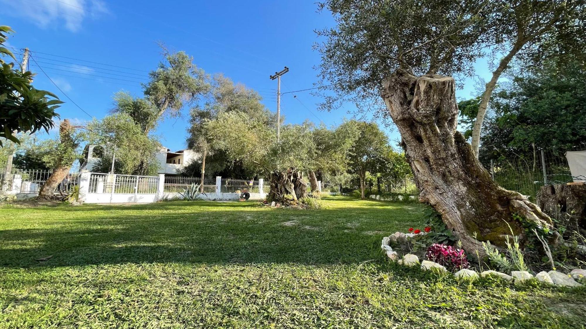 Kavos Aparthotel Exteriör bild